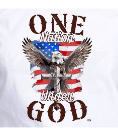 DTF-184 One Nation Under God Eagle 8 x 13 Inches