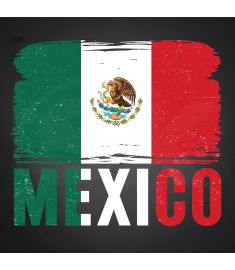 DTF-221 Mexico Flag  10 x 9 Inches