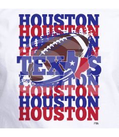 DTF-106 Houston Texas Flag 9 x 10 inches