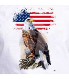 DTF-140 American Eagle Flag 9 x 13 Inches