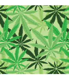 Pattern Cannabis