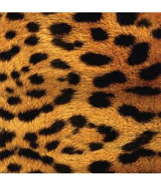 Leopard Imitation Vinyl