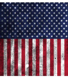 American Flag Dirty Sign Vinyl