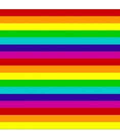 Rainbow Flag Vinyl