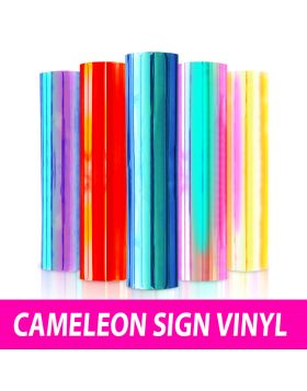 Cameleon Sign Vinyl