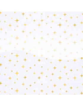 Eco Glitter Motif Star Gold Rainbow White Gloss Vinyl