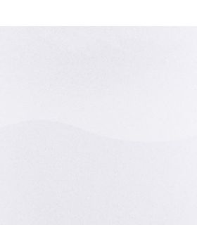 Eco Glitter-WHITE PET-Gloss Vinyl-12 IN
