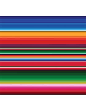 Serape Vinyl