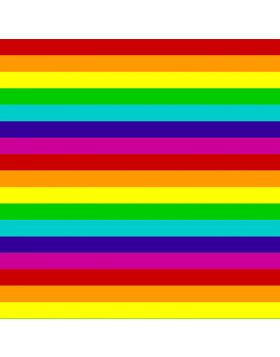 Rainbow Flag Vinyl