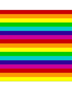 Rainbow Flag Vinyl