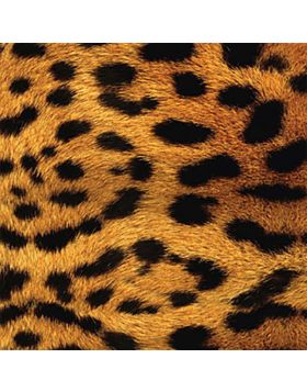 Leopard Imitation Sign Vinyl