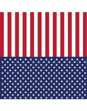 American Flag Sign Vinyl