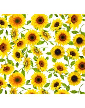 Sunflowers White Sign Vinyl