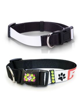 Sublimation Dog Collar