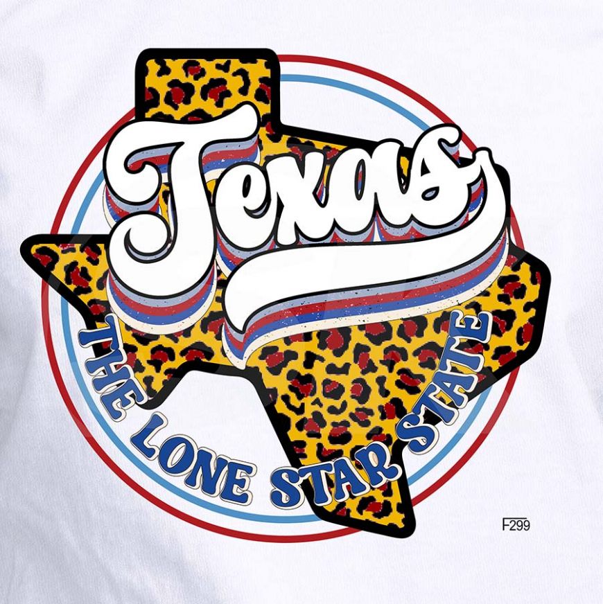 DTF 299 Retro Texas The Lone Star State 10 x 9 Inches