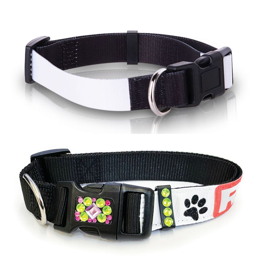Prolite dog collar top