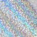 Holo Glitter Sign Vinyl-SEQUINS SILVER-12IN