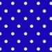 Pro Perforated Vinyl-BLUE-12IN