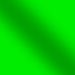 Polish Metallic Sign Vinyl-POLISH FLUORESCENT GREEN-12IN