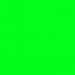 Eco Flex Vinyl-NEON GREEN-12IN