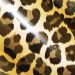 Stretchable Foil Vinyl-LEOPRAD 1 GOLD-12IN