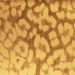 Stretchable Foil Vinyl-MATT CHEETAH GOLD-12IN