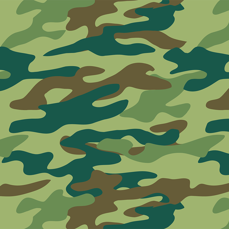 Décalcomanies (décalques) Camouflage Type 3-3 à L'échelle 1/18 - Vert, Dimensions 120x80 Mm - Marque INTERDECAL, Fabriqué En Allemagne